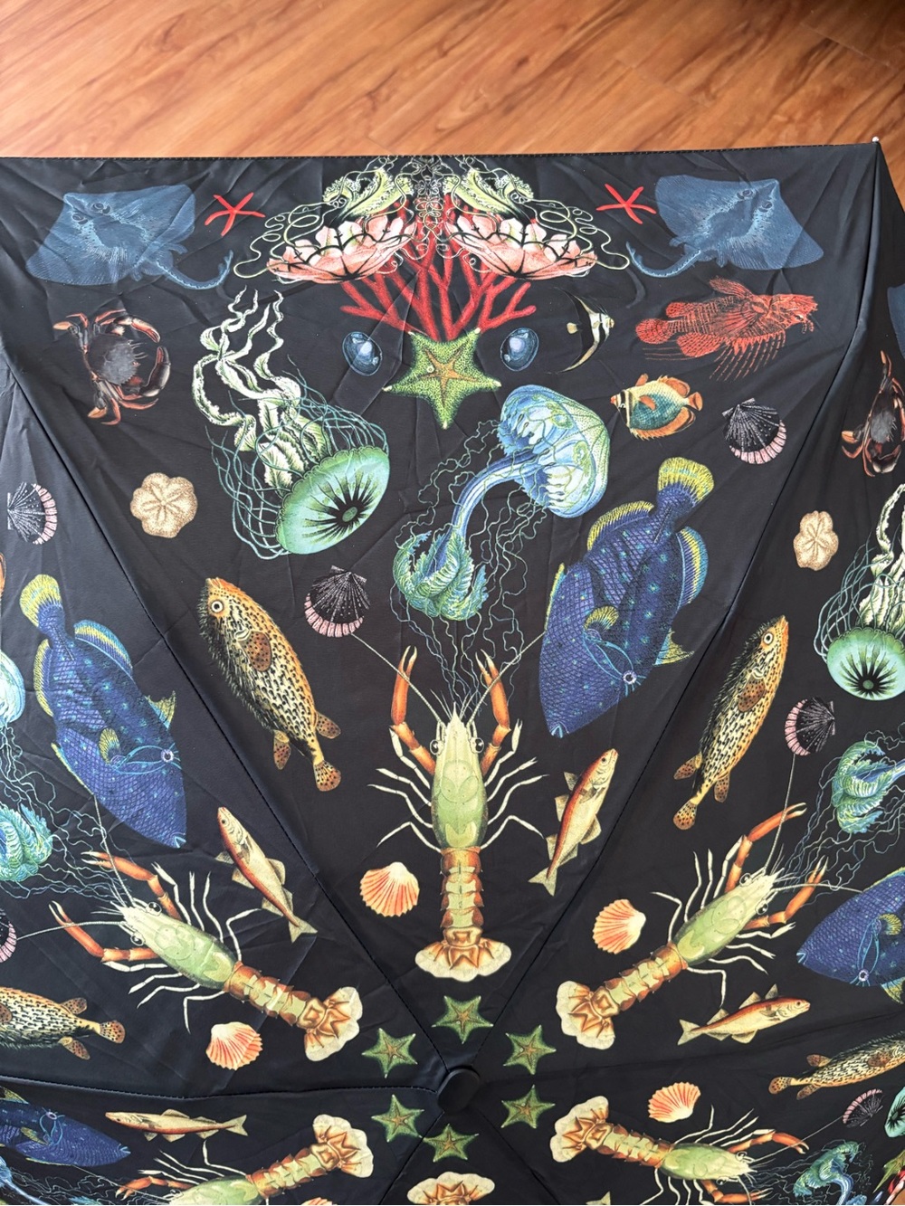 Compact Black Umbrella with Colorful Sea Creature Print. - Picture 4 of 9